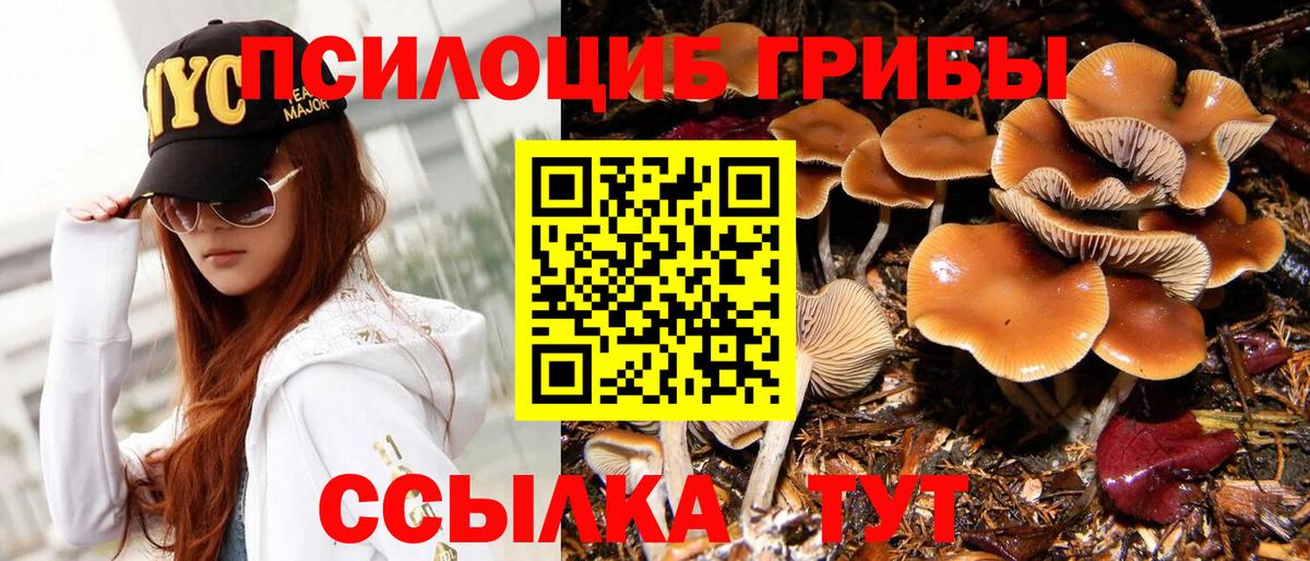 Псилоцибиновые грибы мицелий Элиста