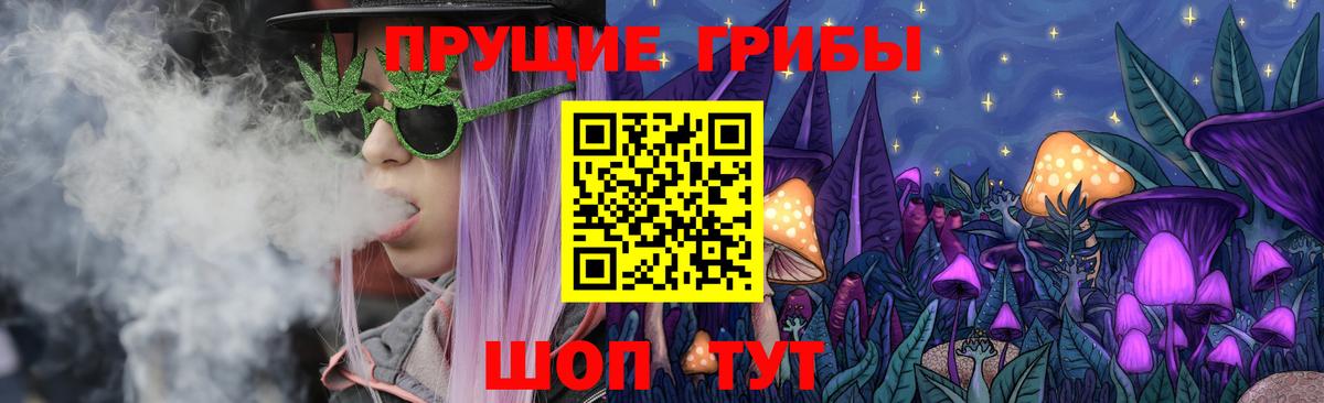 Псилоцибиновые грибы Psilocybine cubensis  Вход с VPN  хочу наркоту  Галлюциногенные грибы мухоморы  Элиста 